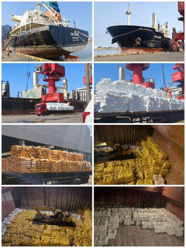 Port shipping operations